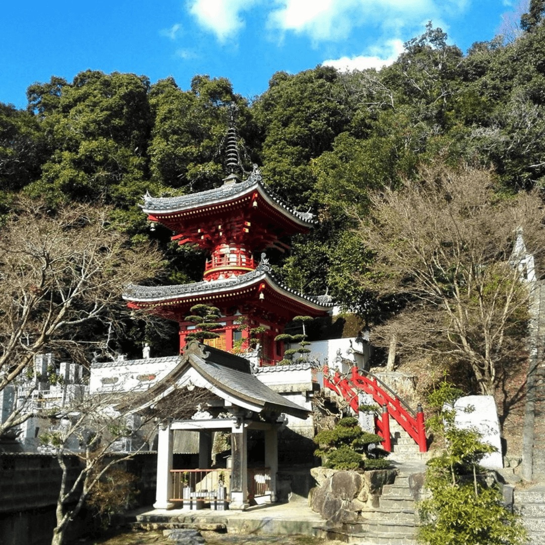 View our walking tours in Shikoku