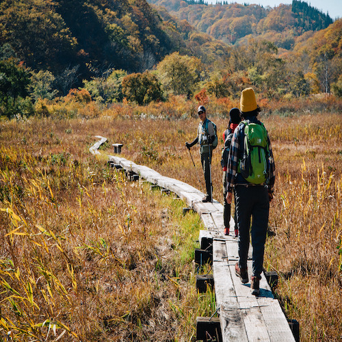 View our walking tours in Shin-Etsu Madarao